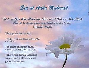 eid ul adha greeting cards, wishing picture (3)-3747